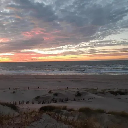 With Dunes View Of Petten