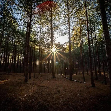 With Dunes View Of Casa de Férias