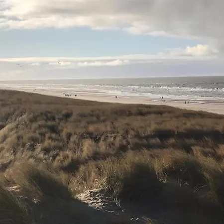 With Dunes View Of * Petten
