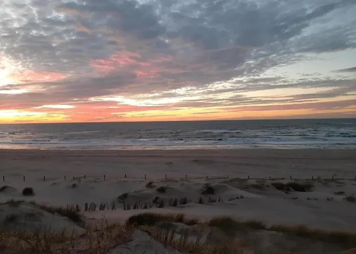 With Dunes View Of Petten