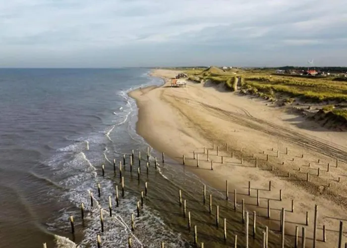 Feriehus With Dunes View Of Petten