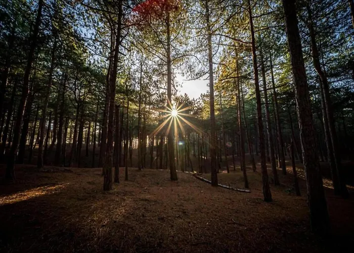 With Dunes View Of Feriehus