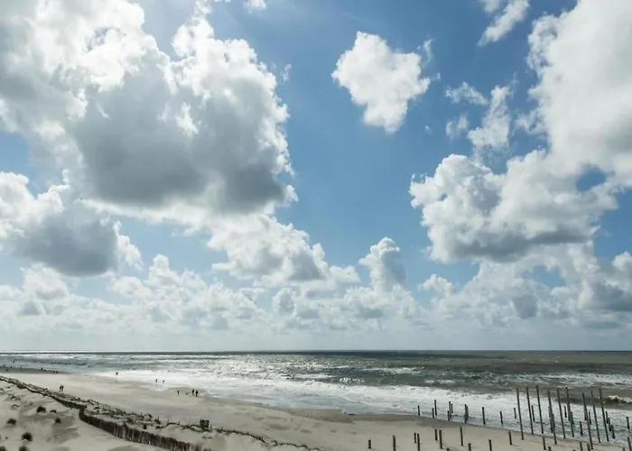 Feriehus With Dunes View Of Petten
