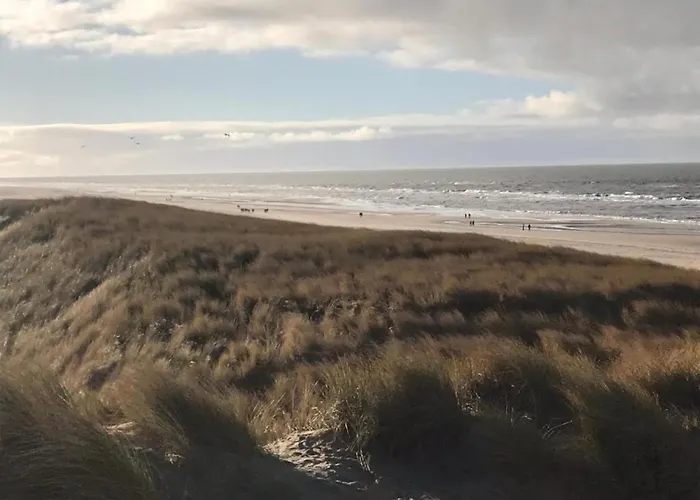 With Dunes View Of * Petten