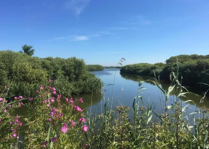 With Dunes View Of Feriehus